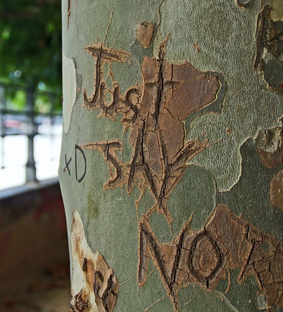 Image of try with the phrase "Just say no" carved on it